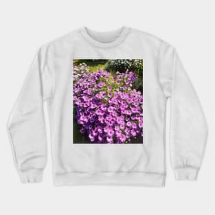 Purple Daisy Daisies Pretty Crewneck Sweatshirt